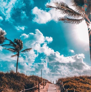 Meet your Posher, Ella